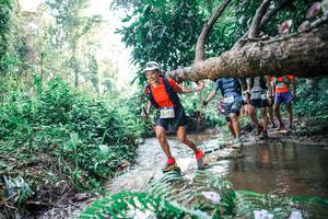 BIB: 
                            <button type="button" onclick="openModal(25458393)" class="btn btn-primary btn-sm float-right btn-popup" data-toggle="modal" data-target=".modal-high-quality">
                        <i class="fas fa-shopping-cart"></i> Add to Cart
                    </button>
                                            <button type="button" onclick="isThisMe(25458393, true)" class="btn btn-success btn-sm float-right btn-popup btn-isme hidden" data-toggle="tooltip" data-placement="bottom" title="นี่คือรูปของคุณใช่ไหม คลิกที่นี่เพื่อเอาเข้าอัลบั้ม">
                        <i class="fas fa-plus"></i> Add to album
                    </button>
                    <button type="button" onclick="isThisMe(25458393, false)" class="btn btn-warning btn-sm float-right btn-popup btn-isnotme hidden">
                        <i class="fas fa-ban"></i> Remove from album
                    </button>